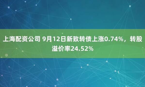 上海配资公司 9月12日新致转债上涨0.74%，转股溢价率24.52%