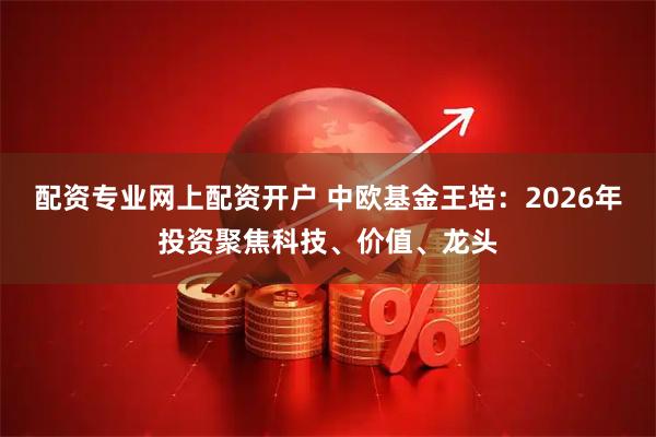 配资专业网上配资开户 中欧基金王培：2026年投资聚焦科技、价值、龙头