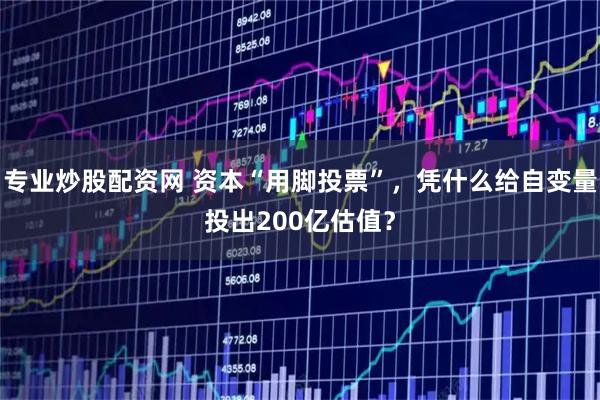 专业炒股配资网 资本“用脚投票”，凭什么给自变量投出200亿估值？